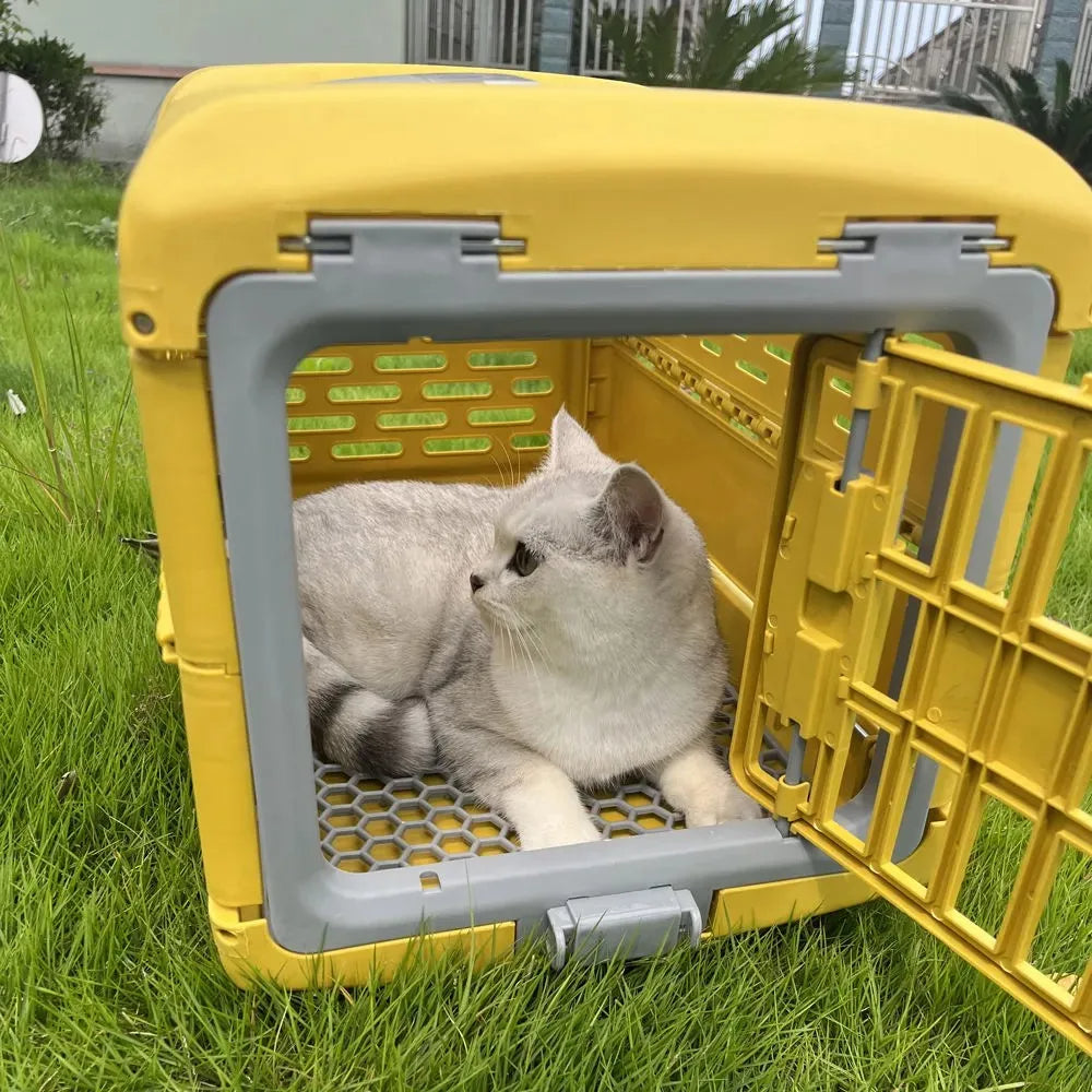 Foldable Pet Transport Box