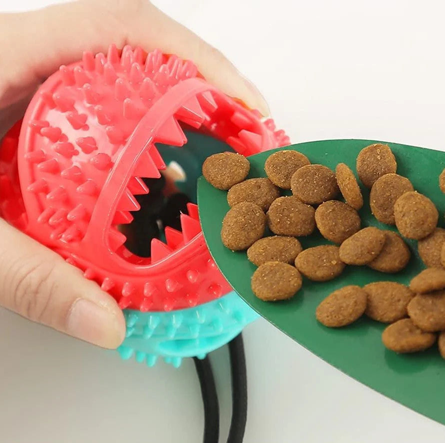 Durable Tug Toy for Dogs – PowerPaw