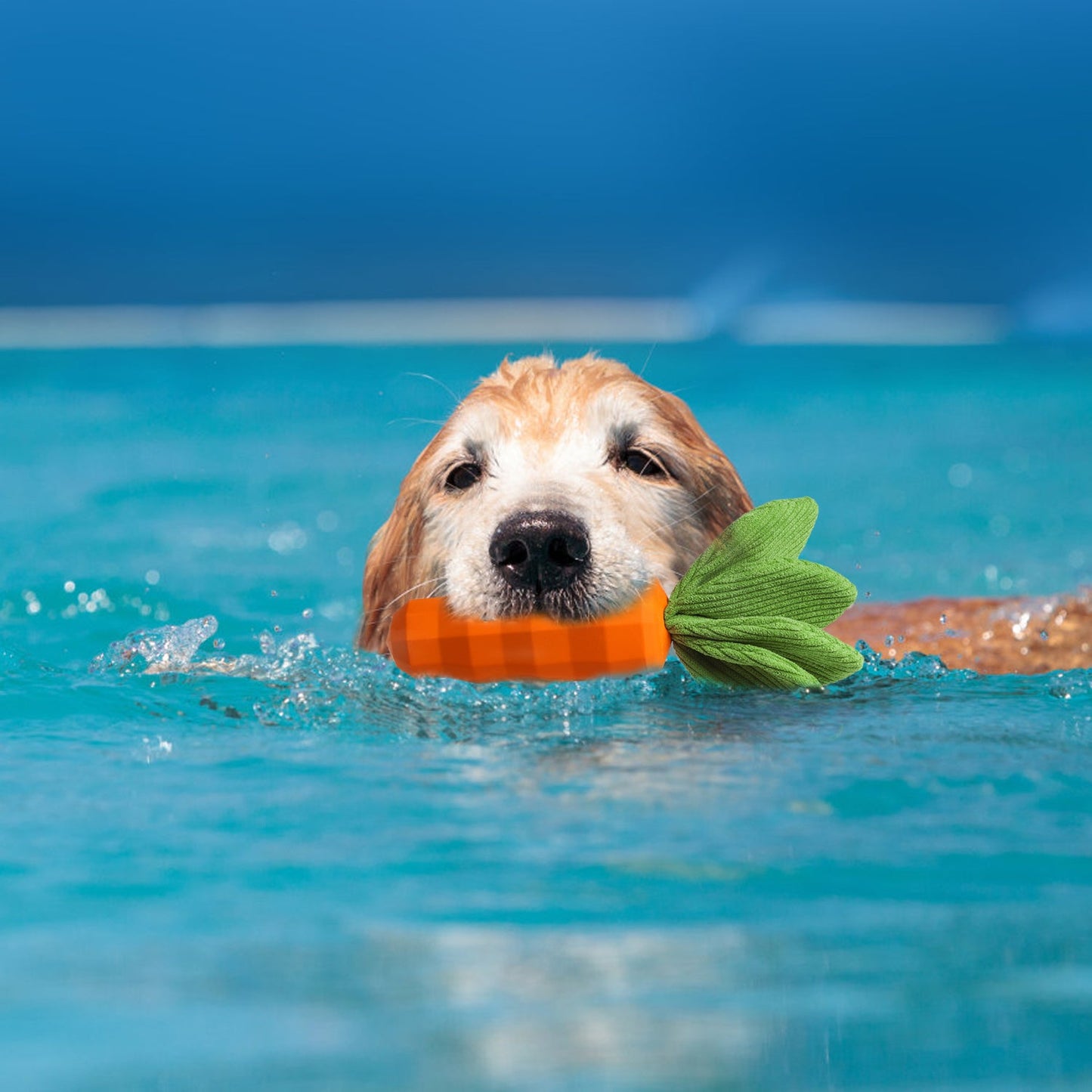 Eco-Friendly Natural Rubber Carrot for Dogs