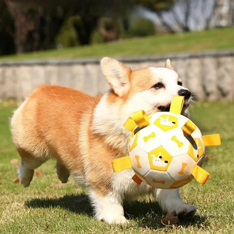 Dog Ball Toy with Integrated Pull Ropes