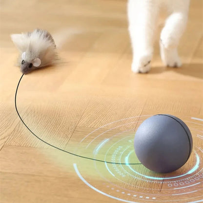 Cat turbo ball with tail toy