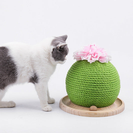 Cat Scratch Cactus with Integrated Toy