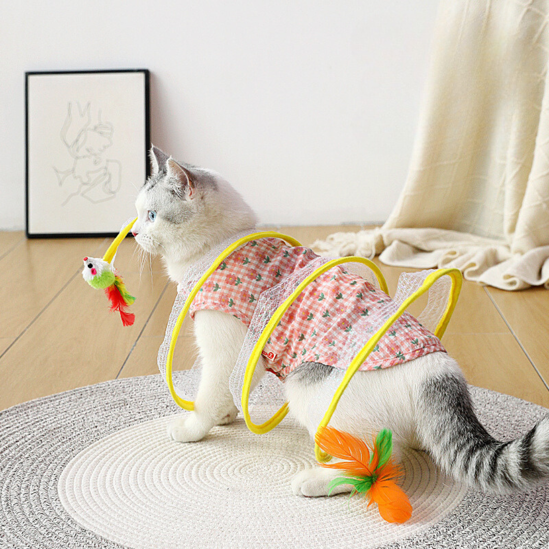 Interactive Cat Spiral Toy