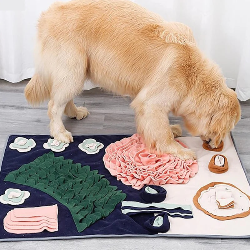 ScentQuest Interactive Sniffing Mat – SniffMaster