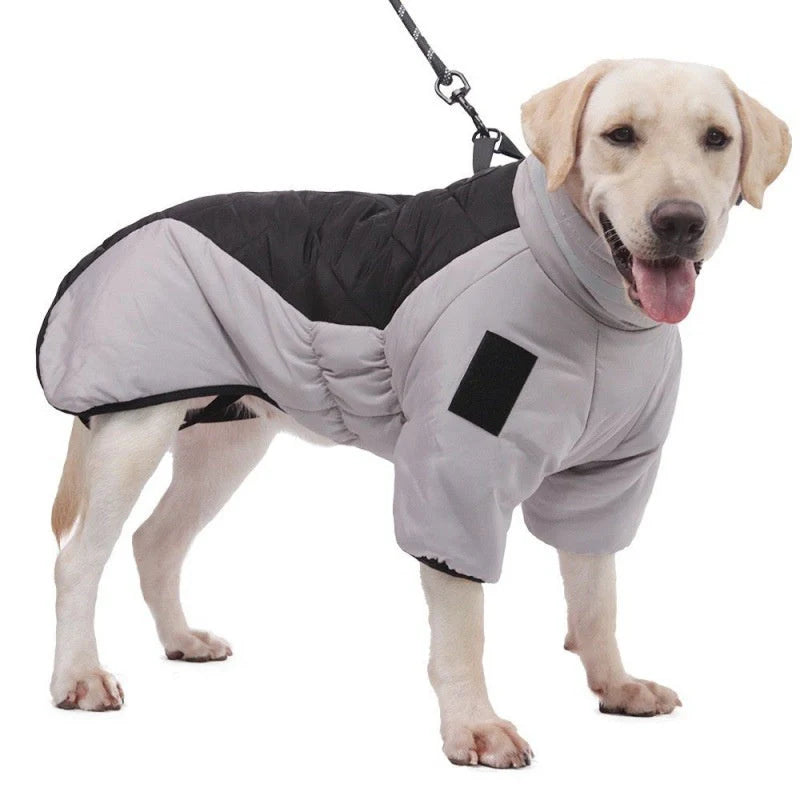 All-Weather Pet Coat – RainRover