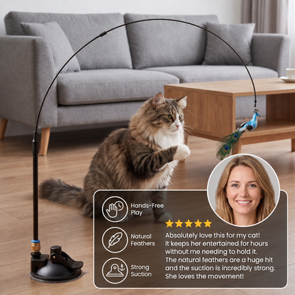 Hands-Free Interactive Cat Wand Toy with Natural Feathers & Suction Cup