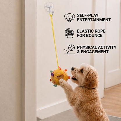 Interactive Hanging Dog Ball Toy with Elastic Play Rope & Hook