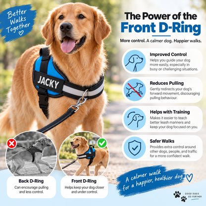Personalized No-Pull Dog Harness with Front D-Ring – Designed for Neck & Shoulder Relief