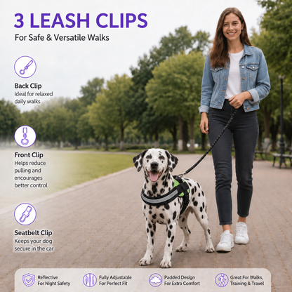 Reflective Adjustable Dog Harness with 3 Leash Clips – Padded for Walking & Training