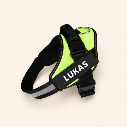 Personalized No-Pull Dog Harness for Easier Walks