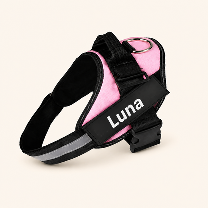 Personalized No-Pull Dog Harness for Easier Walks