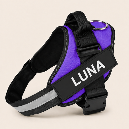Personalized No-Pull Dog Harness for Easier Walks