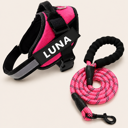 Personalized No-Pull Dog Harness for Easier Walks