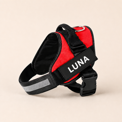 Personalized No-Pull Dog Harness for Easier Walks