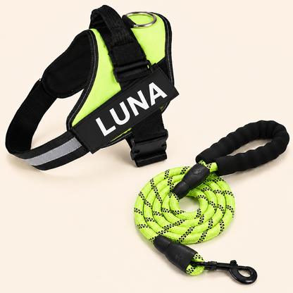 Personalized No-Pull Dog Harness for Easier Walks