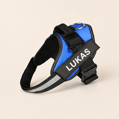 Personalized No-Pull Dog Harness for Easier Walks