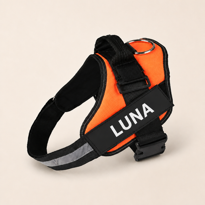 Personalized No-Pull Dog Harness for Easier Walks