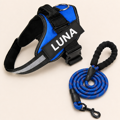 Personalized No-Pull Dog Harness for Easier Walks