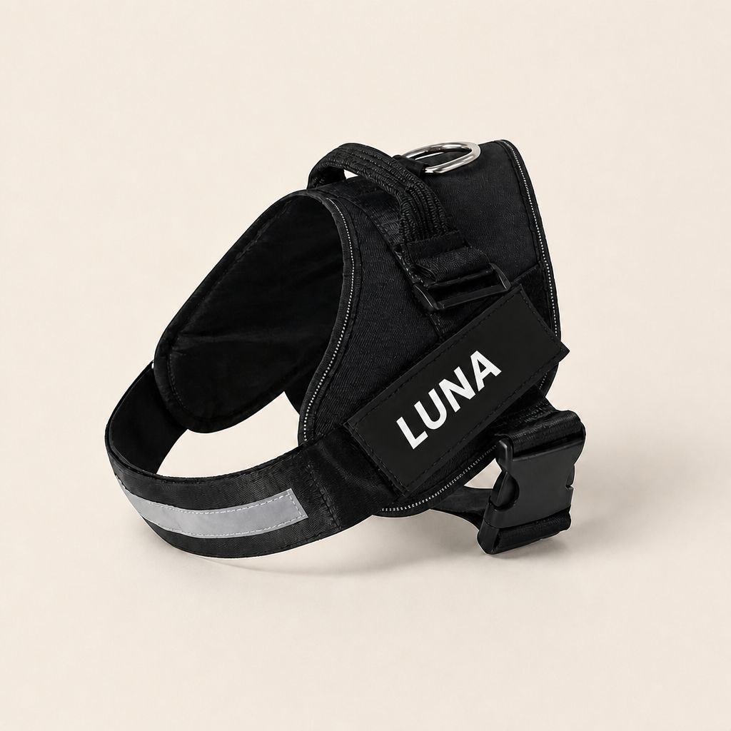 Personalized No-Pull Dog Harness for Easier Walks