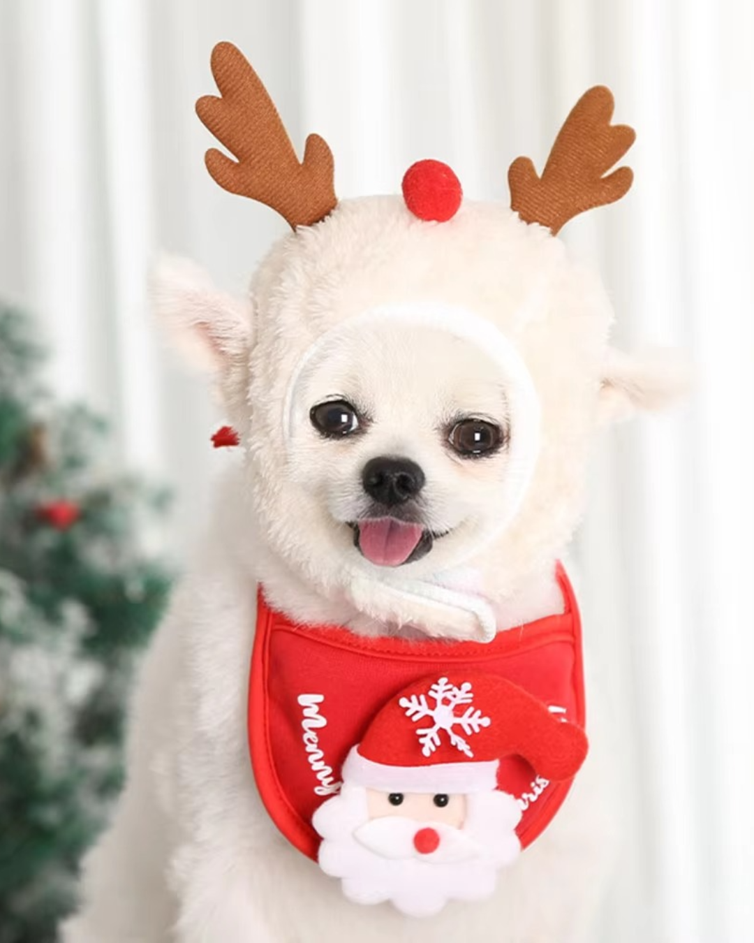 Christmas outfits for dogs