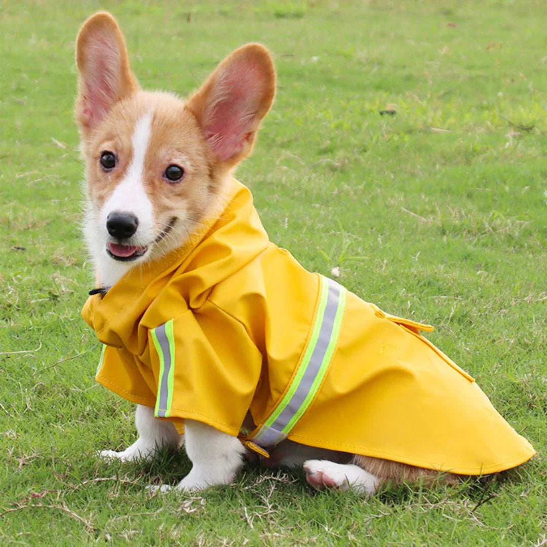 Dog Raincoat – PuddleShield