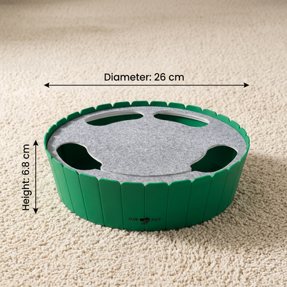 Interactive Hide & Seek Mouse Cat Toy