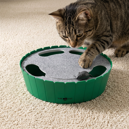 Interactive Hide & Seek Mouse Cat Toy