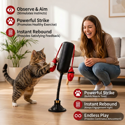 Durable Interactive Cat Boxing Toy with Punching Bag