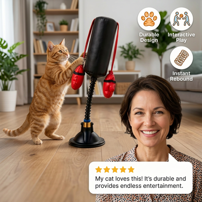 Durable Interactive Cat Boxing Toy with Punching Bag