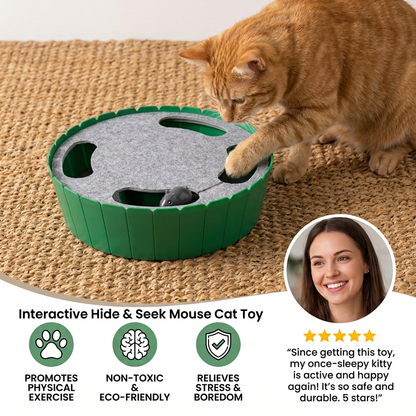 Interactive Hide & Seek Mouse Cat Toy