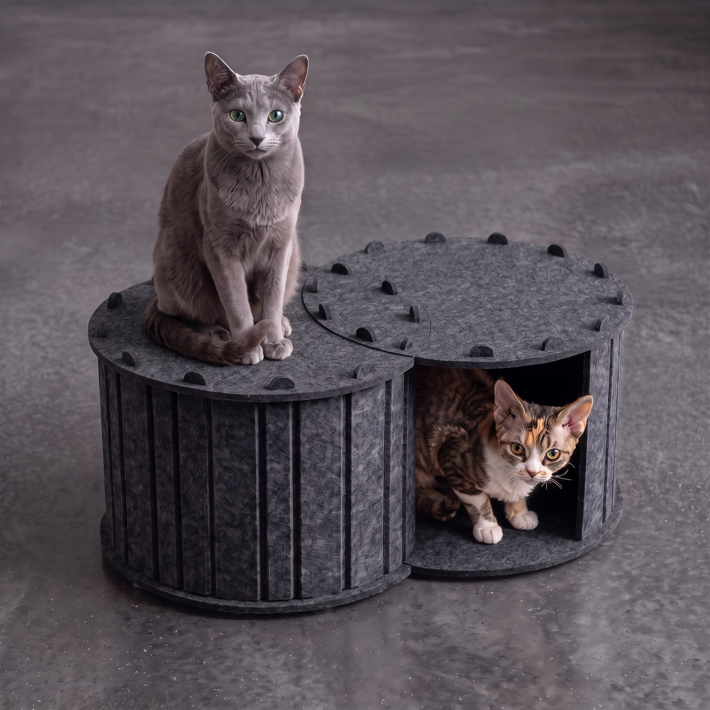 2-in-1 Interactive Play Cat Bed & Scratcher Hideaway