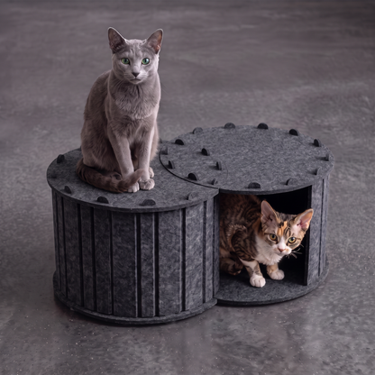 2-in-1 Interactive Play Cat Bed & Scratcher Hideaway