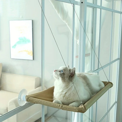 Cat Hammock