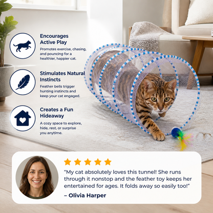 Collapsible Spiral Cat Play Tunnel with Feather Bells