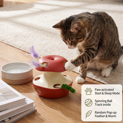 3-in-1 Apple-Shaped Cat Toy – Interactive Feather & Ball Toy
