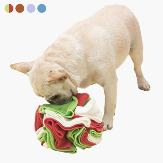 Interactive Sniffing Ball for Dogs - SniffJoy