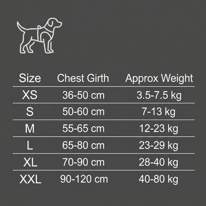Reflective Adjustable Dog Harness with 3 Leash Clips – Padded for Walking & Training