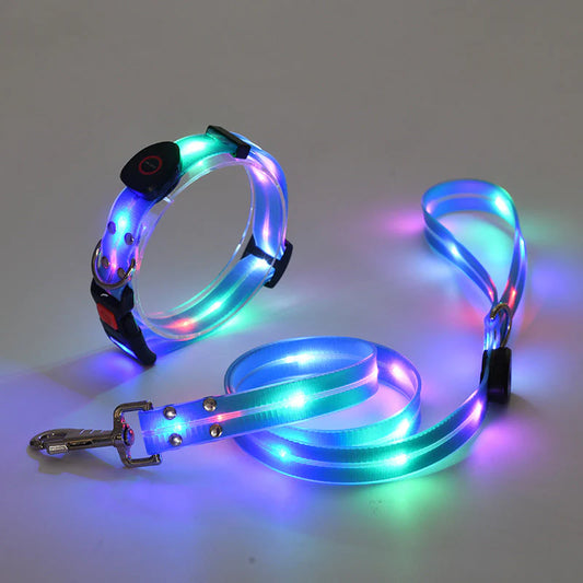 LED Dog Collar with Leash – NightBright