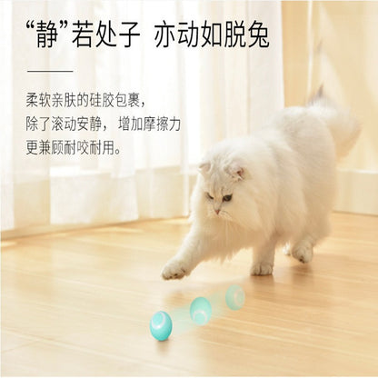 Interactive Cat Play Ball