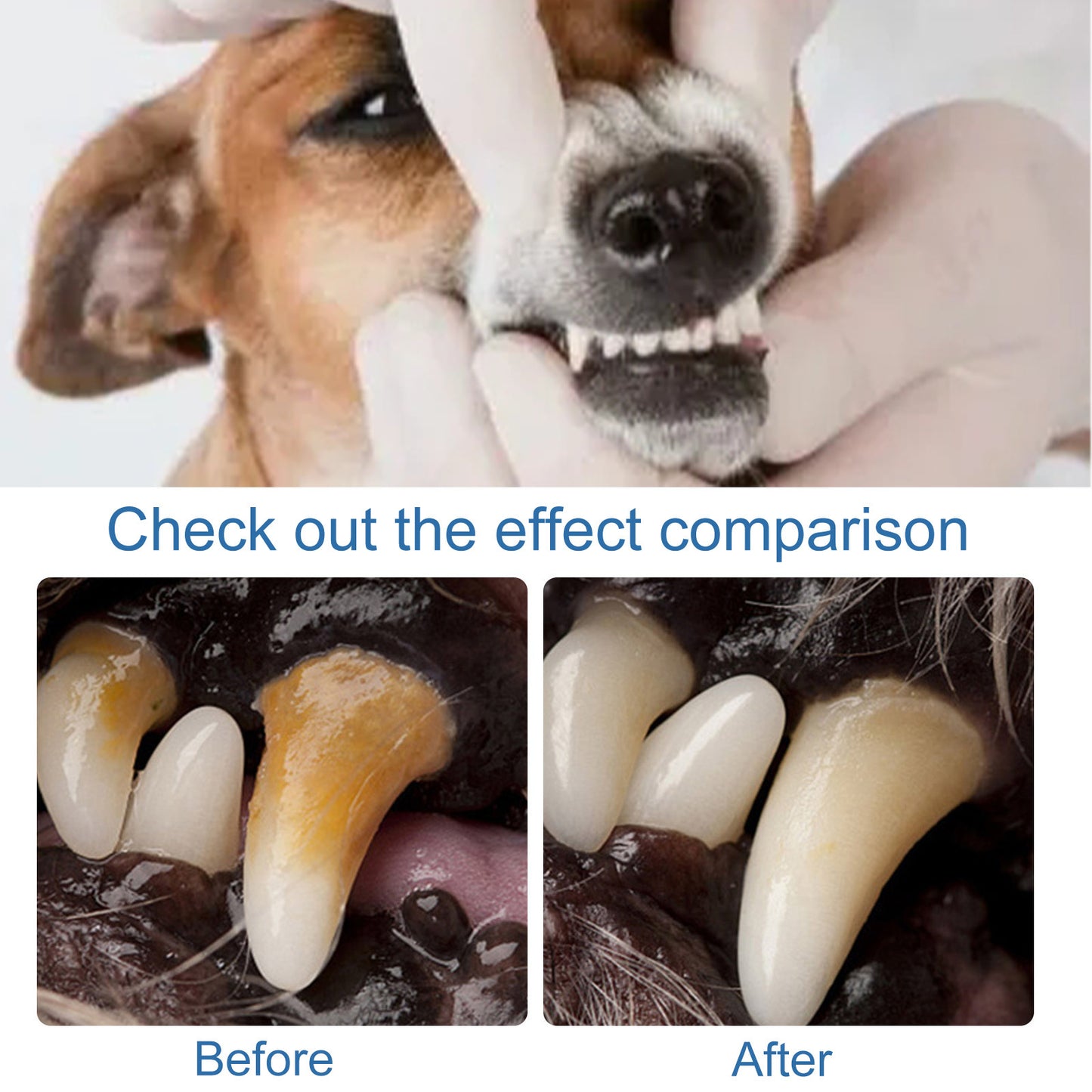 Dog Dental Cleaning Foam – Brighter Teeth & Fresh Breath