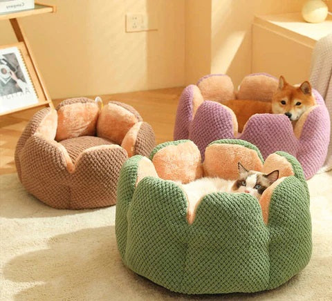 Blossom-shaped Pet Bed – CozyBlossom