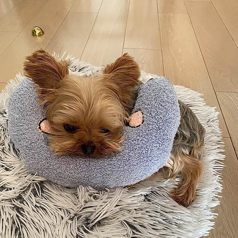 CozyPaws Cushion for Dogs - RelaxPad