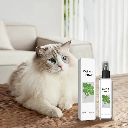 Calming Spray for Cats - SilverLeaf Spray