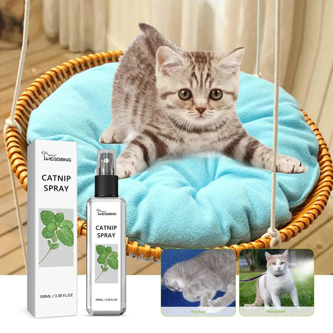 Calming Spray for Cats - SilverLeaf Spray