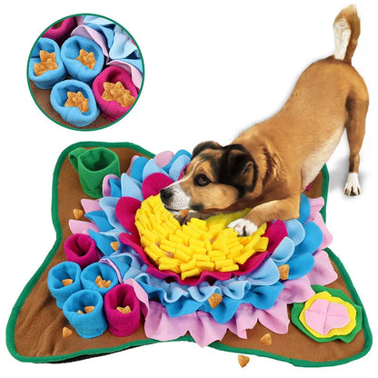 ScentQuest Interactive Sniffing Mat – SniffMaster