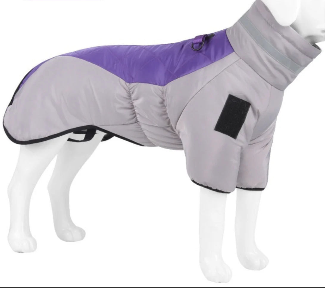 All-Weather Pet Coat – RainRover