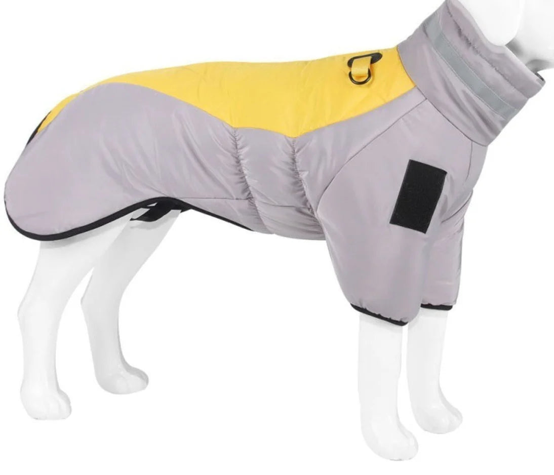 All-Weather Pet Coat – RainRover