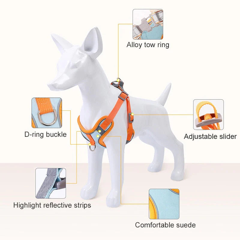 Reflective Puppy Harness – PawSafe