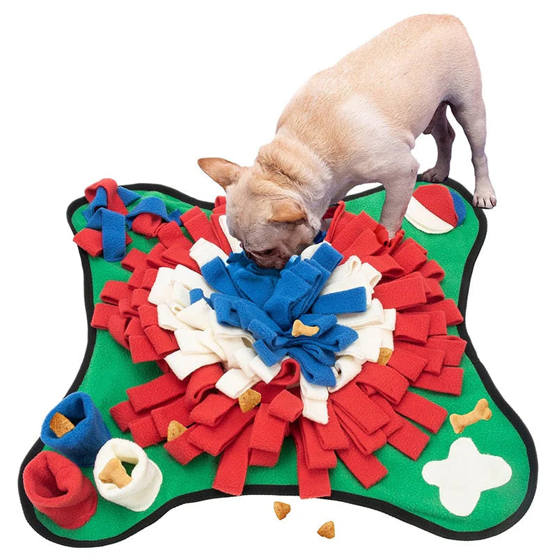 ScentQuest Interactive Sniffing Mat – SniffMaster