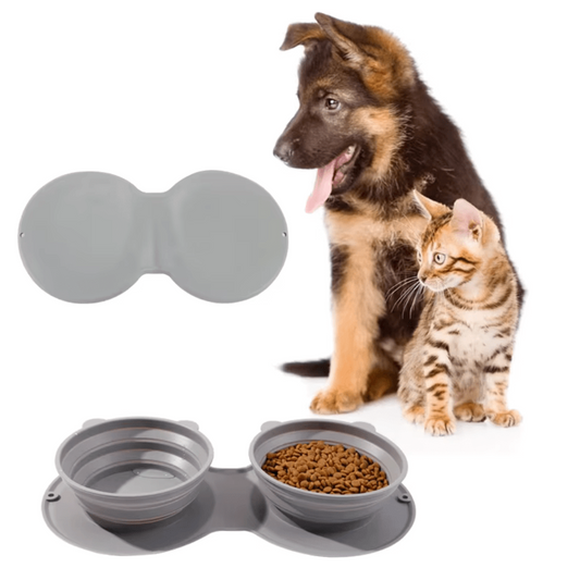 2-in-1 On-the-Go Food Bowl